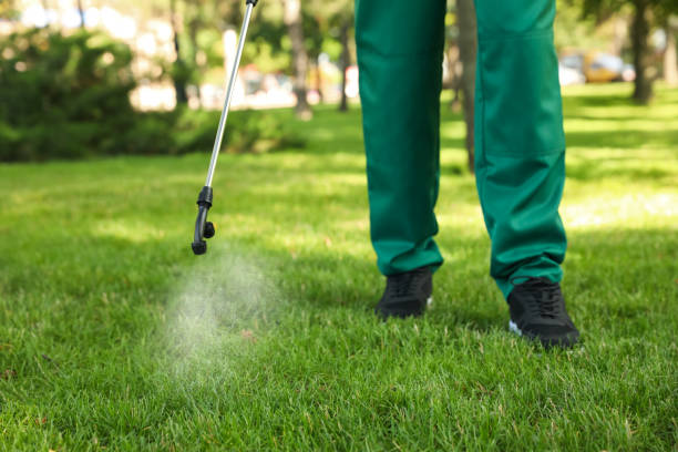 Best Affordable Pest Control Services  in Montana City, MT