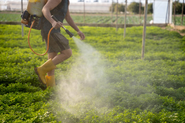 Best Pest Control for Businesses  in Montana City, MT