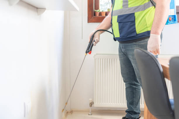 Professional Pest Control in Montana City, MT